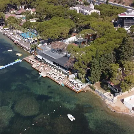 Unique Life Style Hotel