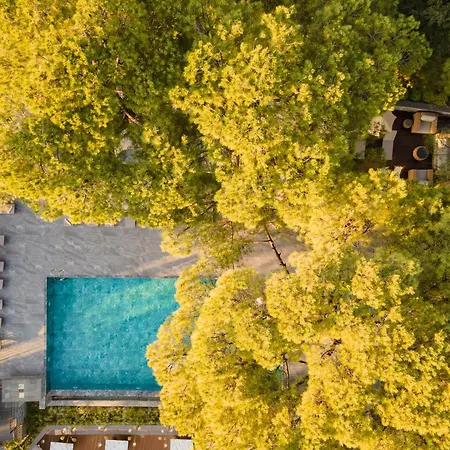 Hotel Unique Life Style Kuşadası